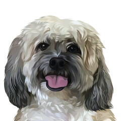 Cute dog photo with transparent background