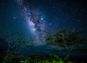 Maui Milky Way 1