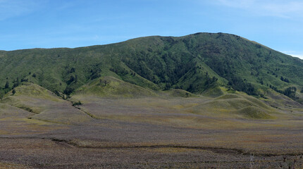 The savanna in the Bromo Tengger Semeru National Park area or known as Teletubbies Hill              