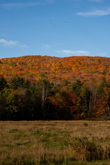 Fototapeta na wymiar Autumn Landscape near lake