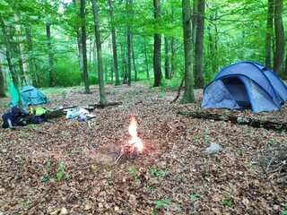 firecamp at the woods summer © Jan