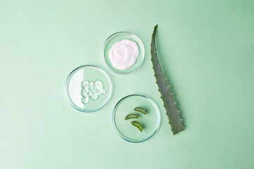 Photography from above of petri dishes with cosmetics gel in it and slices of aloe vera.Organic...