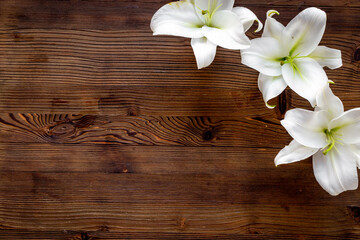 Obraz na płótnie Canvas Flowers heads of white lilies. Floral mock up. Mourning or funeral background