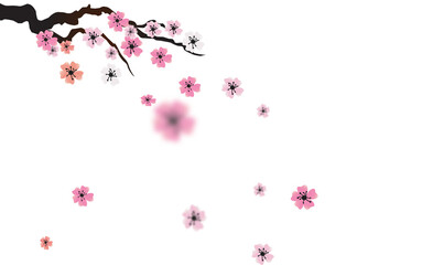 PNG Blossoming sakura branch isolated on transparent background. PNG illustration