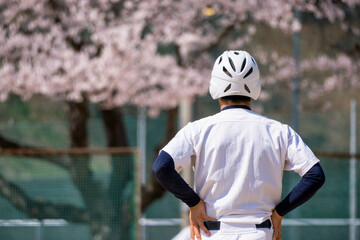 Fototapeta premium 球児と桜