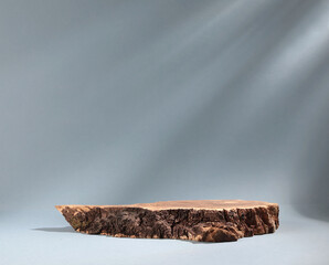 Beautiful wooden snag, cylindrical birch slab on a gray background with sunlight Podium. An empty showcase for product presentation
