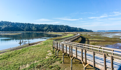 Washington Wetlands Boardwalk 2