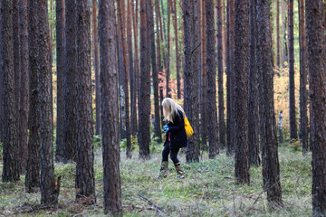 Dziewczyna blondynka zbiera grzyby jesienią w lesie - obrazy, fototapety, plakaty