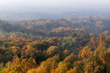 Countryside hilly landscape with lush forest in autumn colours