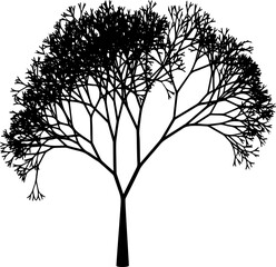 Tree without leaves. Vector illustration isolated on a white background