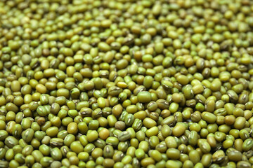 Fototapeta na wymiar Closeup view of green mung beans as background