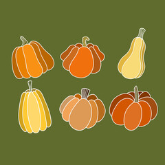 various pumpkin illustration hand drawn, coloured background 