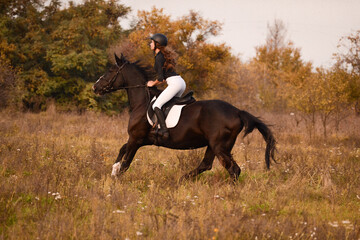 A girl in a field on a horse gallops
