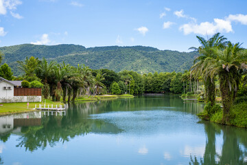 Fototapeta na wymiar Beautiful natural landscape with water pond