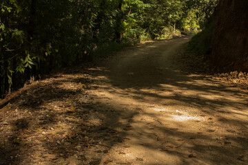 Camino con luces y sombras