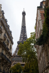 view of the eiffel tower between buildings
