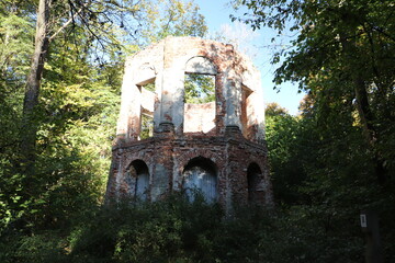 Ruiny w rezerwacie przyrody Morysin w Warszawie