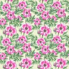Watercolor Rosehip pattern