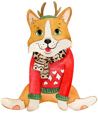 watercolor illustration with a cute winter corgi