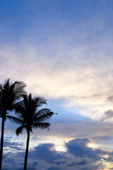 Coconut Tree Silhouette with Beautiful Dramatic Sunset Cloud Scape, Cloudy Sky Background.