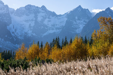 A mountain glade ( Rakuska) in the Belianske Tatras in autumn. In the background, a view of the...