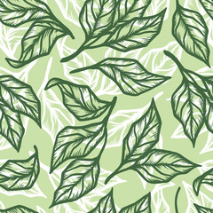 Matcha Green Tea Leaves. Floral Pattern. Food Seamless Background. Outline Leaf Vector illustration. Hand drawn engraving style