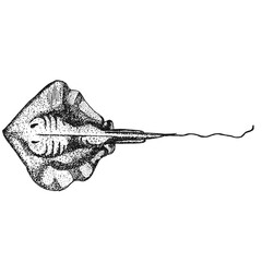 Illustrations animaux dessin noir et blanc ancien © Stéphanie