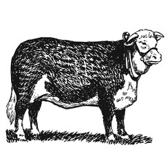 Illustrations animaux dessin noir et blanc ancien