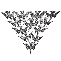 Illustrations animaux dessin noir et blanc ancien