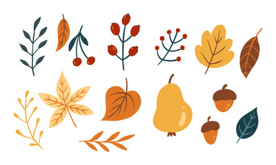 Set of cute leaf and vegetable for autumn design element. Collection of simple cartoon of nature hand drawn illustration.