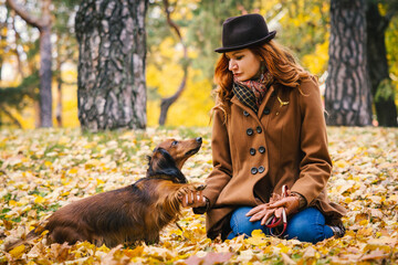 Young red-haired woman plays in the park with a red dachshund dog. Dog gives paw