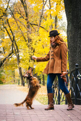 Young red-haired woman plays on a small bridge in the park with a red dachshund dog. Owner teaches dog tricks