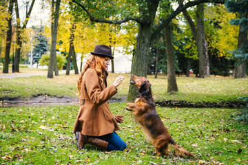Young red-haired woman plays in the park with a red dachshund dog. Owner teaches dog tricks