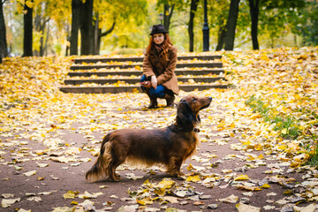 Young red-haired woman posing in the park with a red dachshund dog. The dog is in the foreground, the owner is out of focus in the distance