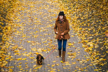 Young red-haired woman walking in the park with a red dachshund dog. A girl with a pet walk along a paved path strewn with leaves.