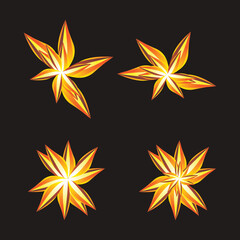 Obraz premium set of fire flowers decoration
