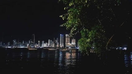 Night view of the city