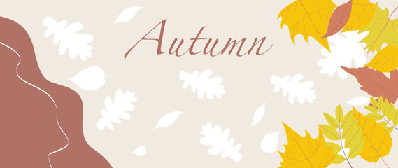 Vector illustration. Autumn poster or banner template. The picture shows leaves on a light yellow background. Vector illustration for postcard, shop, invitation, discount.