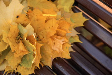 autumn leaves on wooden background