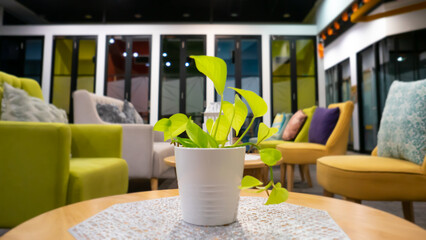 Small plant pot in the middle On the left and right are sofas and chairs the atmosphere at work