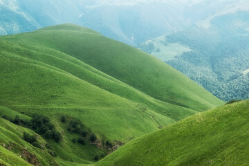 Naklejka premium landscape with hills in fog