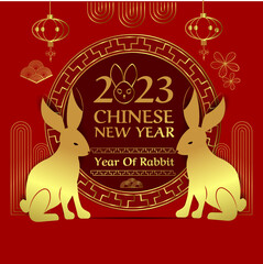 Vector illustration banner Chinese new year of rabbit