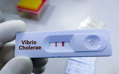 Rapid test device or cassette for Vibrio cholerae test, show positive result.