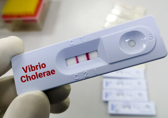 Rapid test device or cassette for Vibrio cholerae test, show positive result.