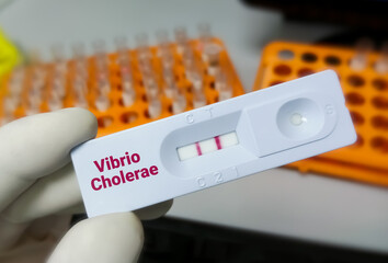 Rapid test device or cassette for Vibrio cholerae test, show positive result.