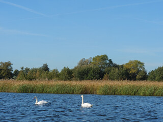 Das Dorf Giethoorn in den Niiederlanden