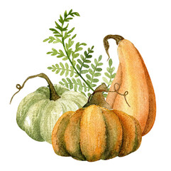Watercolor pumpkins and branch
