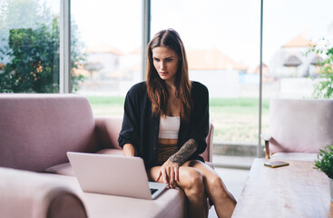 Focused woman sitting on sofa working on laptop
