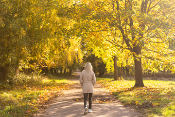 Fototapeta premium Pathway through the autumn forest.