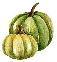 Watercolor pumpkin - 538172772